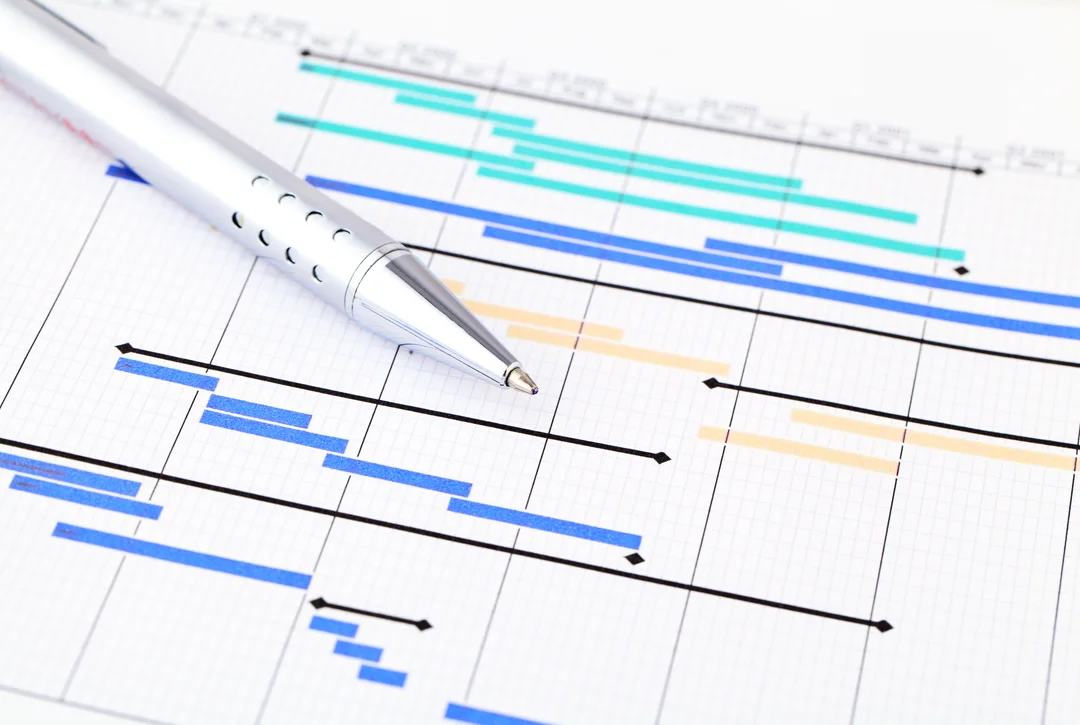 Strategy and Project Management